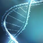 DNAメチル化研究テクニカルワークショップ