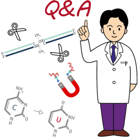 DNAメチル化研究テクニックQ&A